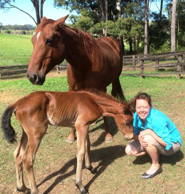 Breeding - Pacific Vet Care